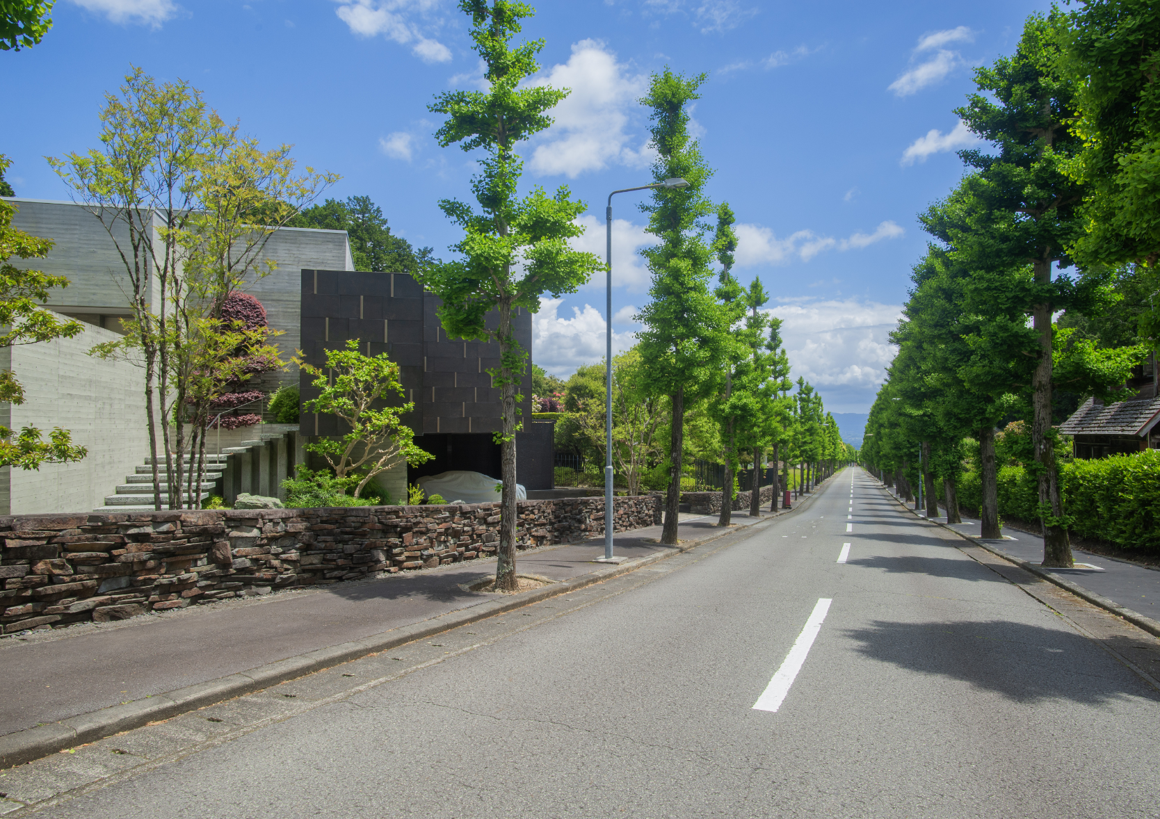 街路樹のある道路