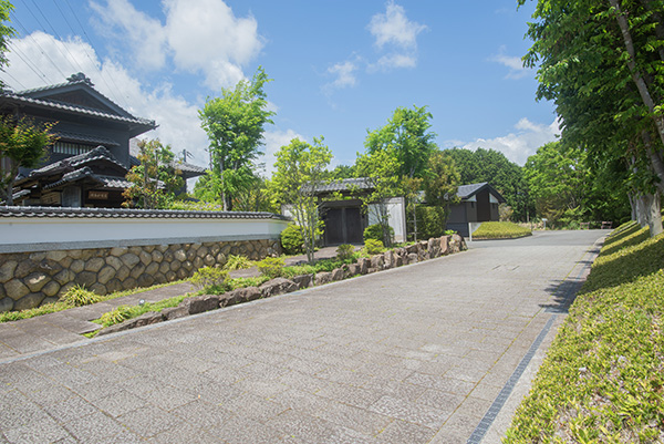スルガ平分譲地