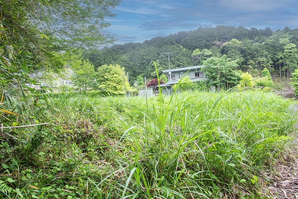 No.11