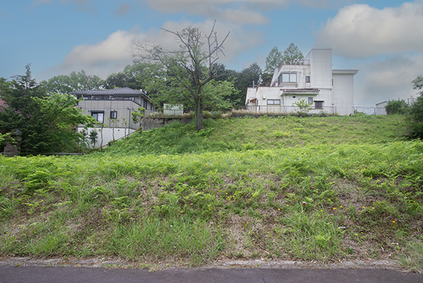 No.55